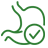 Digestive System Cleanse